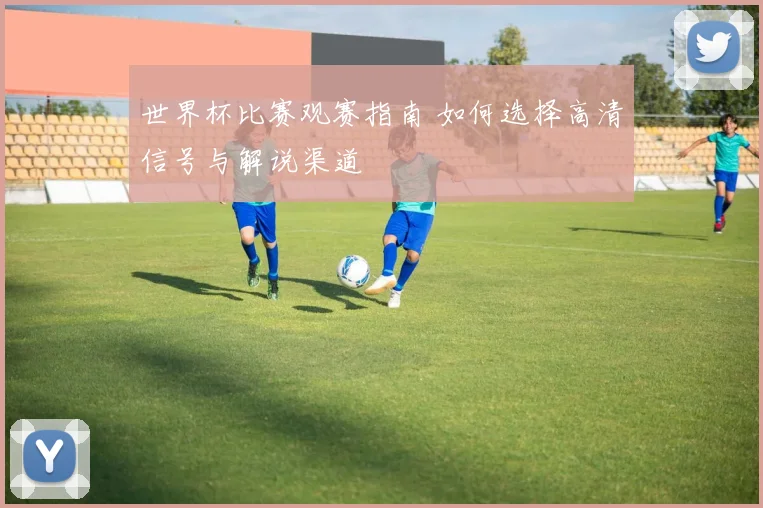 世界杯比赛观赛指南 如何选择高清信号与解说渠道