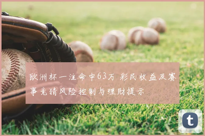 欧洲杯一注命中63万 彩民收益及赛事竞猜风险控制与理财提示