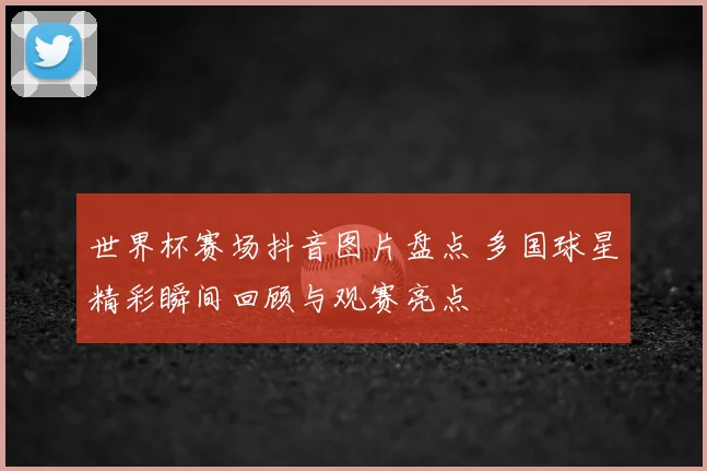世界杯赛场抖音图片盘点 多国球星精彩瞬间回顾与观赛亮点