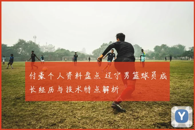 付豪个人资料盘点 辽宁男篮球员成长经历与技术特点解析