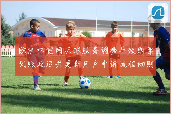 欧洲杯官网买球服务调整导致购票到账延迟并更新用户申诉流程细则