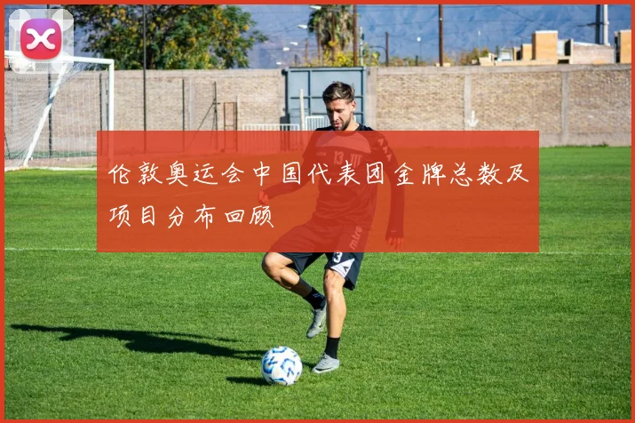 伦敦奥运会中国代表团金牌总数及项目分布回顾