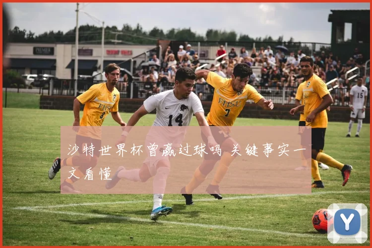 沙特世界杯曾赢过球吗 关键事实一文看懂